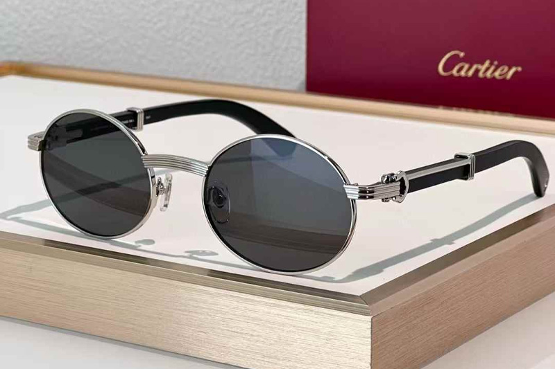 CT0464S Sunglasses Silver Black Gray