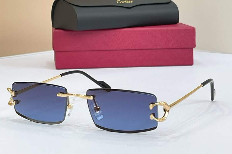 CT0465S Sunglasses Gold Blue