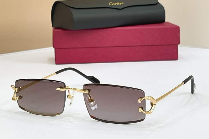 CT0465S Sunglasses Gold Brown