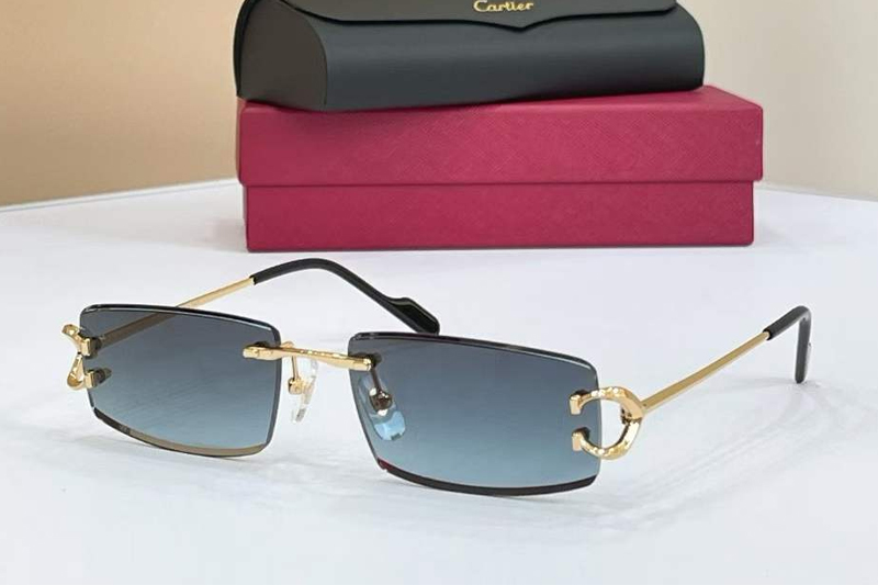 CT0465S Sunglasses Gold Gray