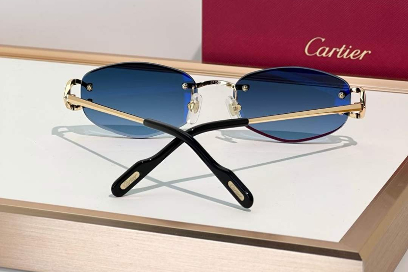 CT0467S Sunglasses Gold Gradient Blue