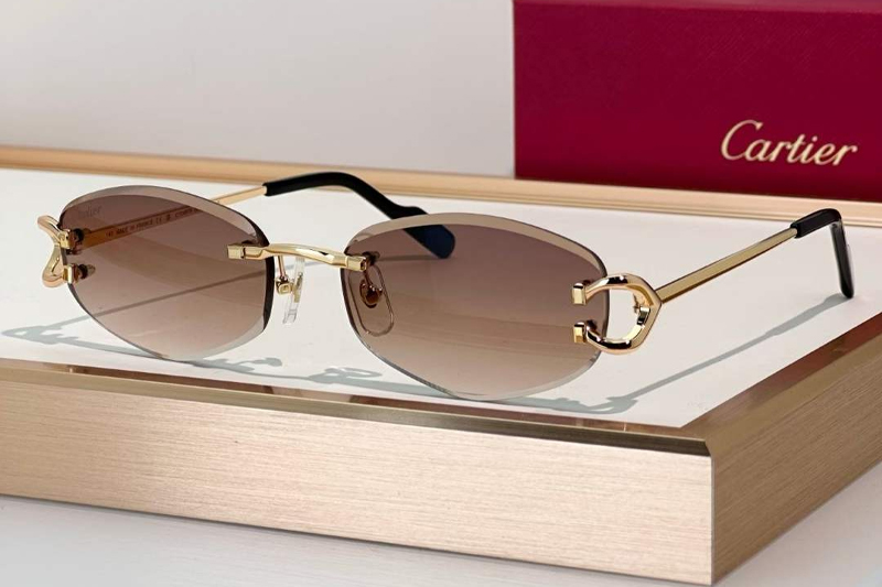 CT0467S Sunglasses Gold Gradient Brown