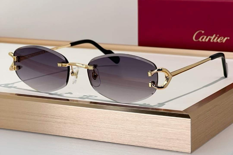 CT0467S Sunglasses Gold Gradient Gray