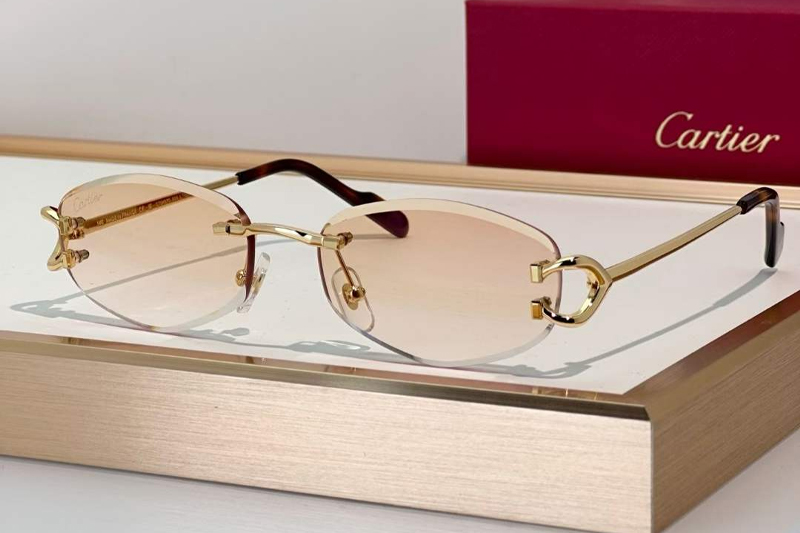 CT0467S Sunglasses Gold Gradient Light Brown