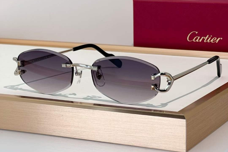 CT0467S Sunglasses Silver Gradient Gray