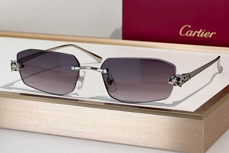 CT0474S Sunglasses Silver Gradient Gray