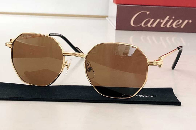 CT0500S Sunglasses Gold Brown