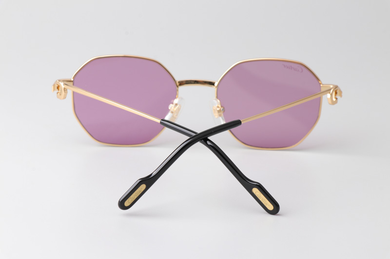 CT0500S Sunglasses Gold Purple