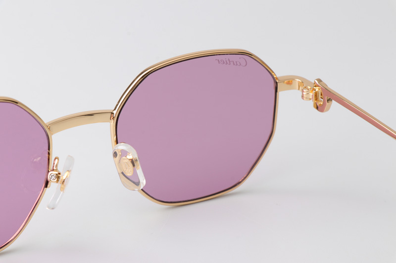 CT0500S Sunglasses Gold Purple