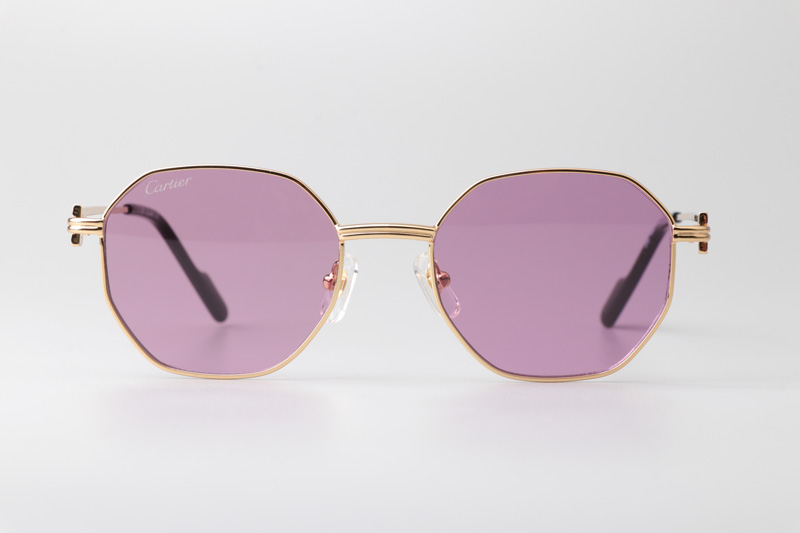 CT0500S Sunglasses Gold Purple