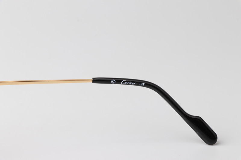 CT0500S Sunglasses Gold Purple