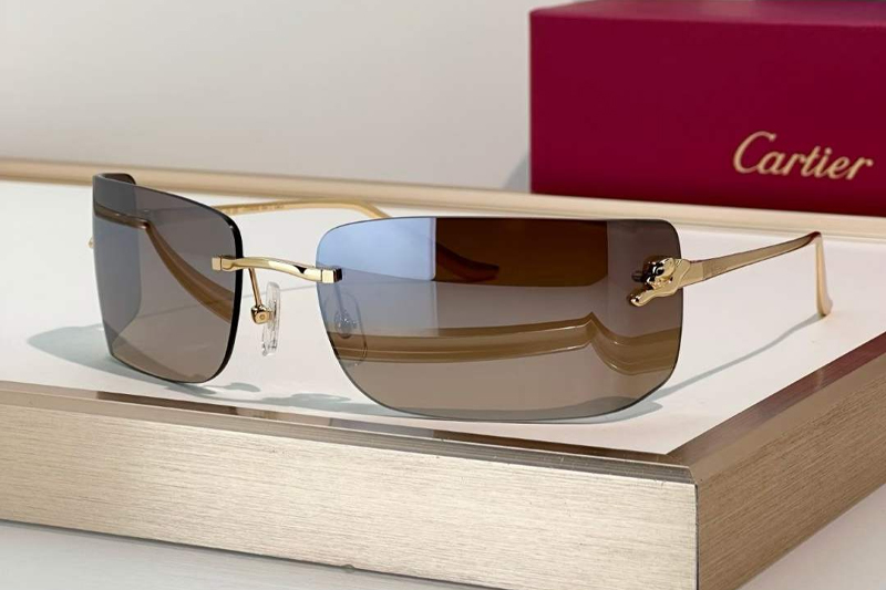 CT0503S Sunglasses Gold Brown