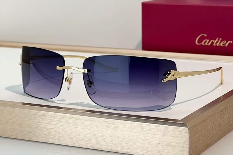 CT0503S Sunglasses Gold Gradient Blue