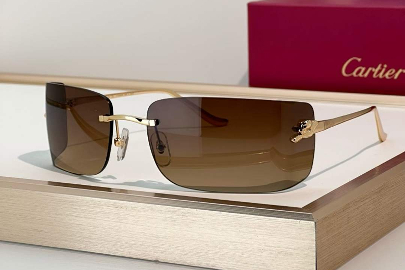 CT0503S Sunglasses Gold Gradient Brown