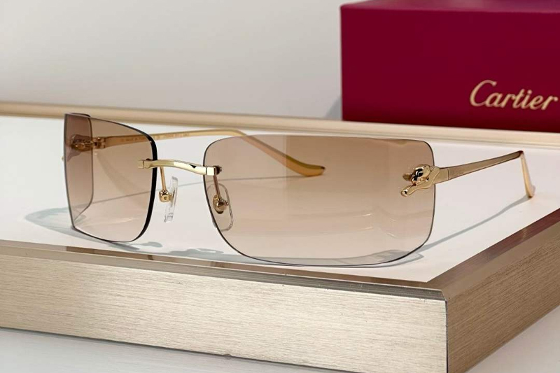 CT0503S Sunglasses Gold Gradient Light Brown