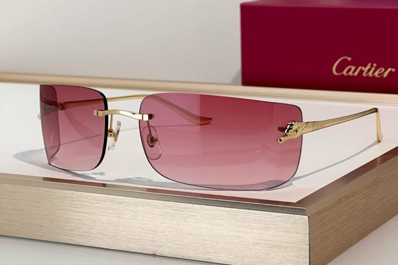 CT0503S Sunglasses Gold Gradient Pink