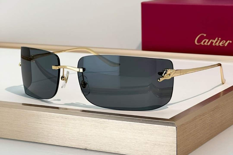 CT0503S Sunglasses Gold Gray