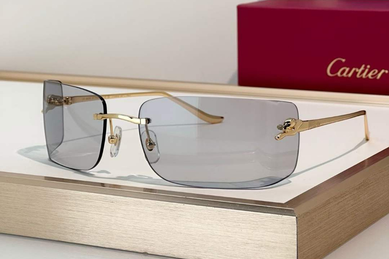 CT0503S Sunglasses Gold Light Gray