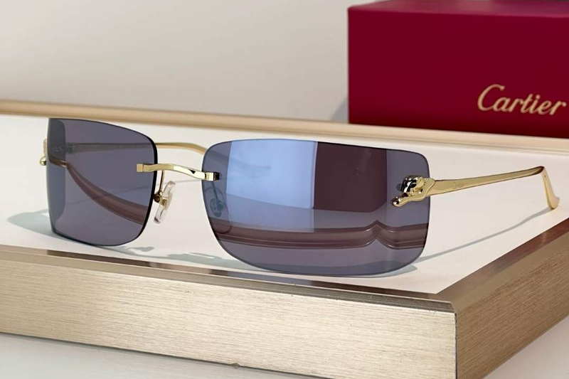 CT0503S Sunglasses Gold Mirror