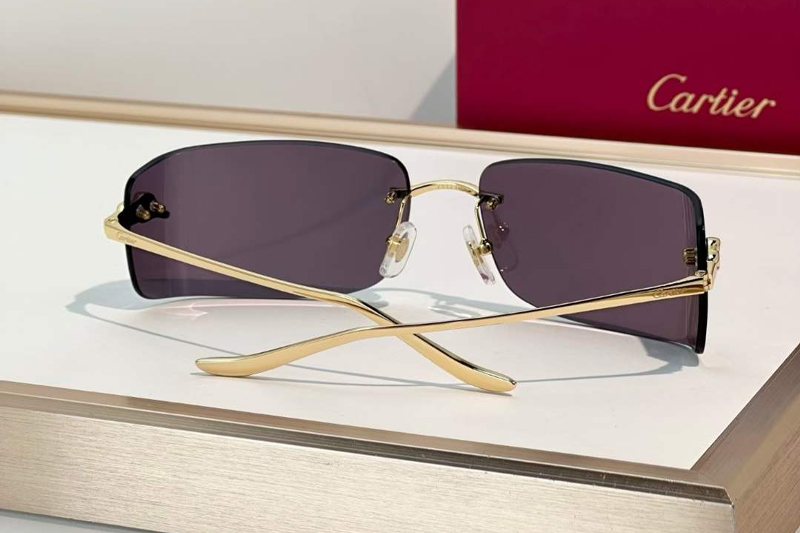 CT0503S Sunglasses Gold Mirror