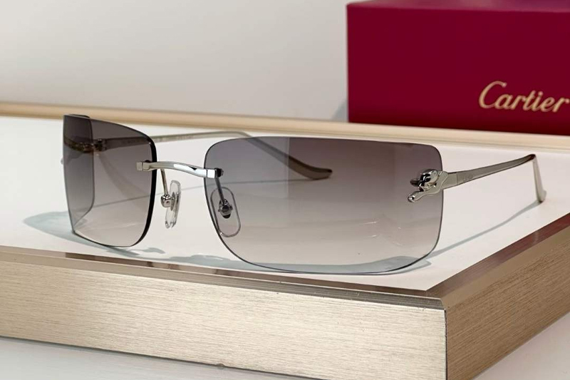 CT0503S Sunglasses Silver Gradient Gray