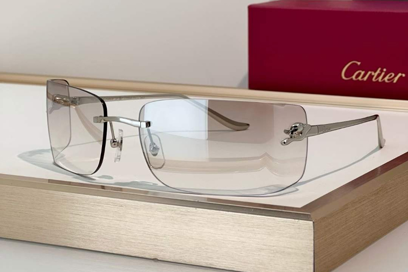 CT0503S Sunglasses Silver Light Gray