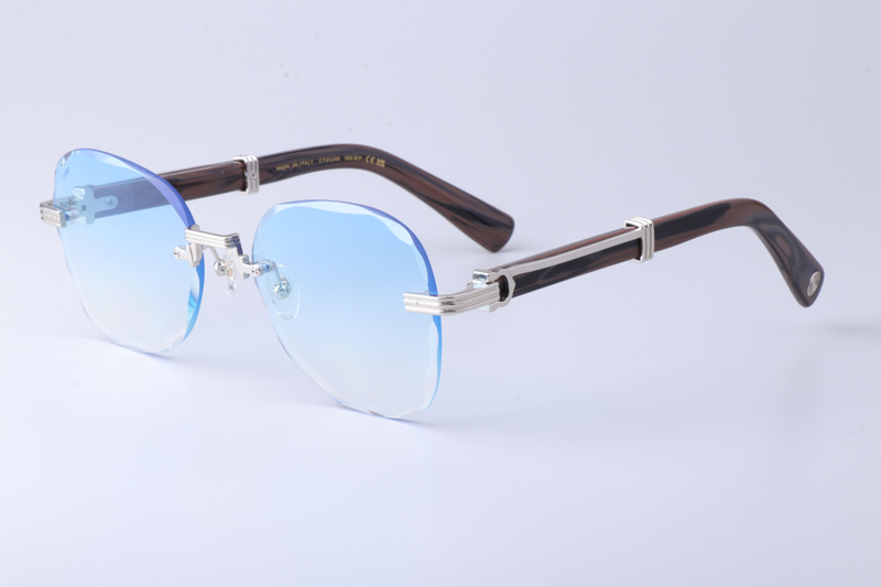 CT0520S Sunglasses Silver Gradient Blue