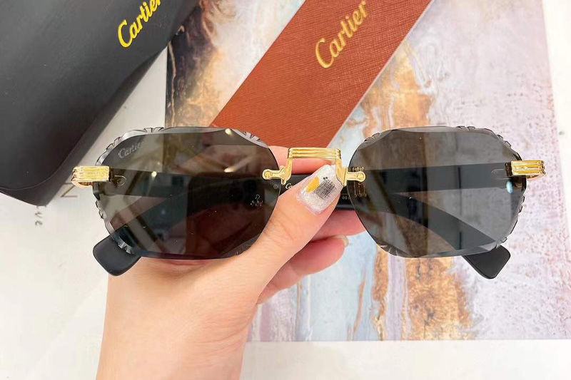 CT0533S Sunglasses Gold Black Gray