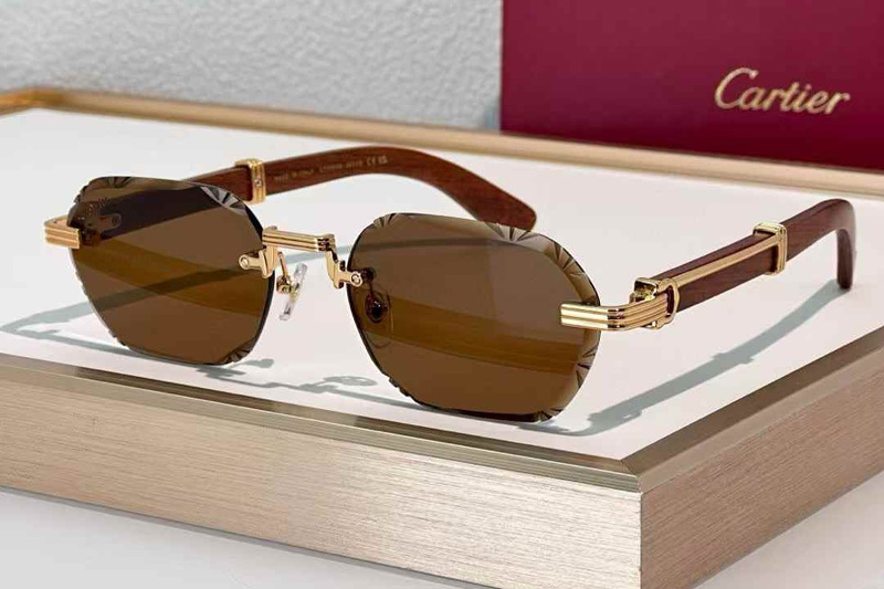 CT0533S Sunglasses Gold Red Brown