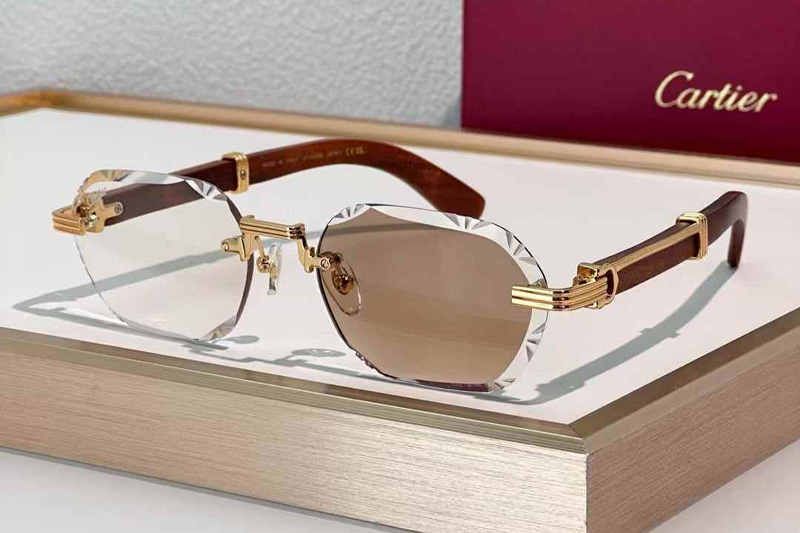 CT0533S Sunglasses Gold Red Photochromic Brown