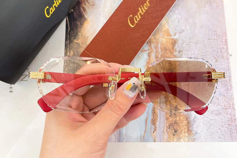 CT0533S Sunglasses Gold Red Photochromic Brown