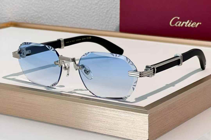 CT0533S Sunglasses Silver Black Gradient Blue