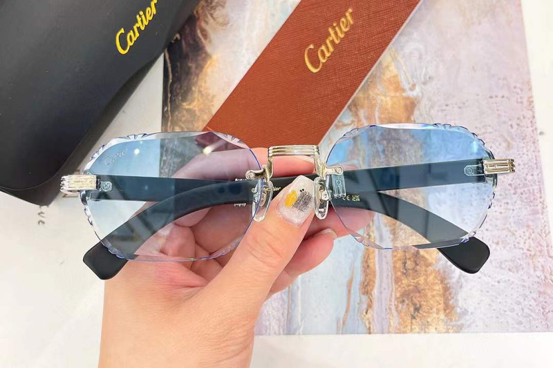 CT0533S Sunglasses Silver Black Gradient Blue