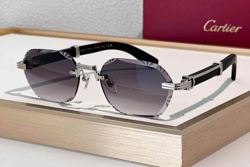 CT0533S Sunglasses Silver Black Gradient Gray