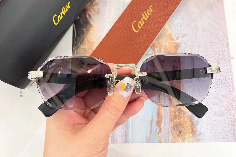 CT0533S Sunglasses Silver Black Gradient Gray