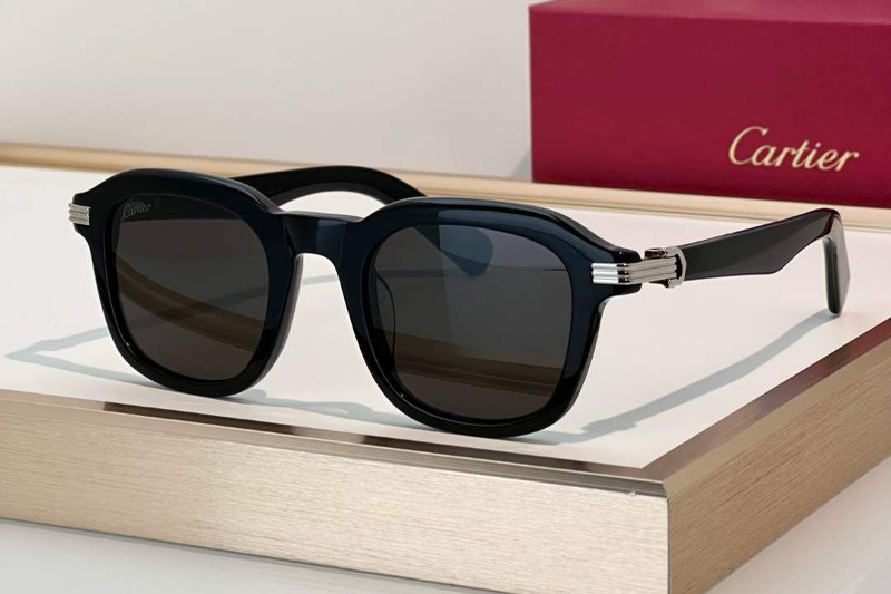 CT0536S Sunglasses Black Silver Gray