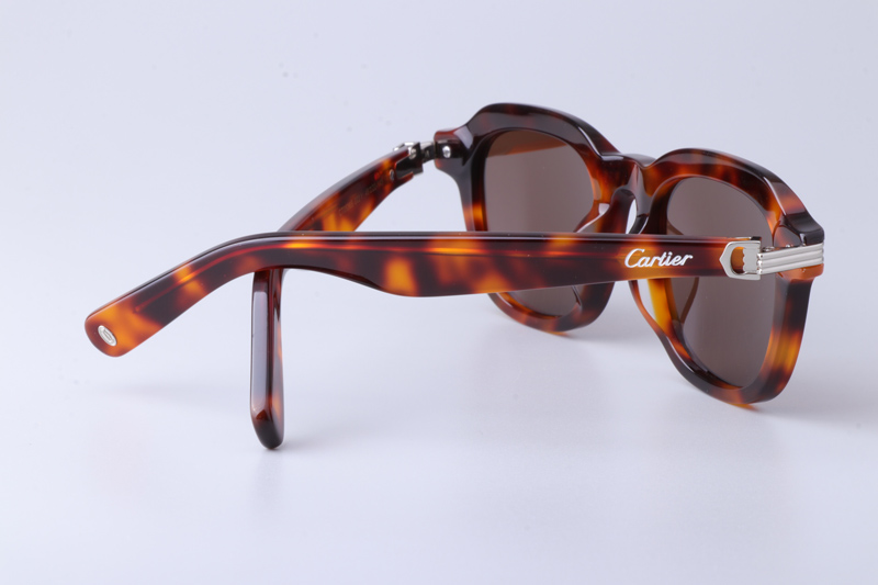 CT0536S Sunglasses Tortoise Brown