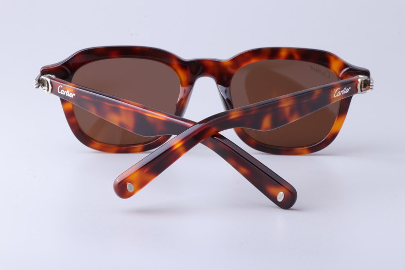 CT0536S Sunglasses Tortoise Brown