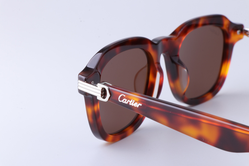 CT0536S Sunglasses Tortoise Brown