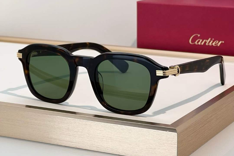 CT0536S Sunglasses Tortoise Green