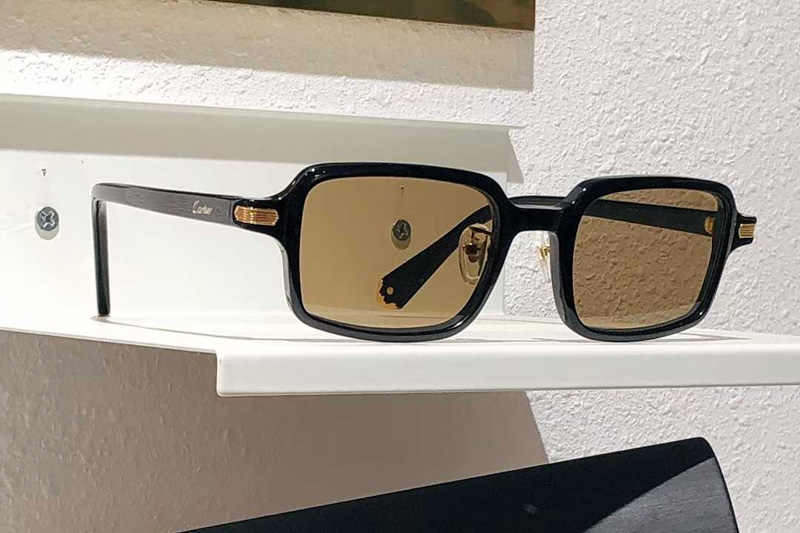 CT0539S Sunglasses Black Gold Brown