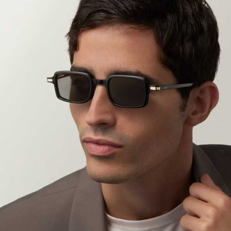 CT0539S Sunglasses Black Gold Gray