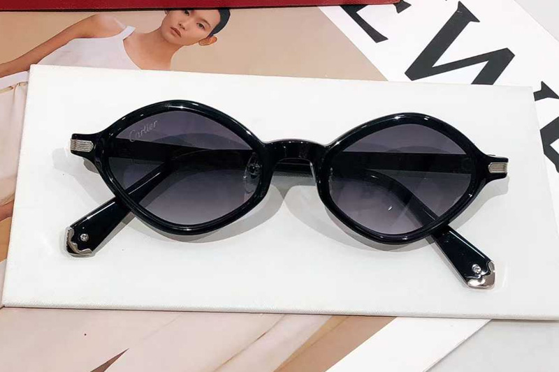 CT0540S Sunglasses Black Silver Gradient Gray