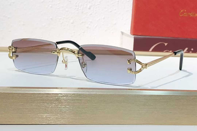 CT0550S Sunglasses Gold Gradient Purple
