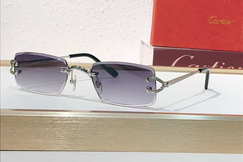 CT0550S Sunglasses Silver Gradient Gray