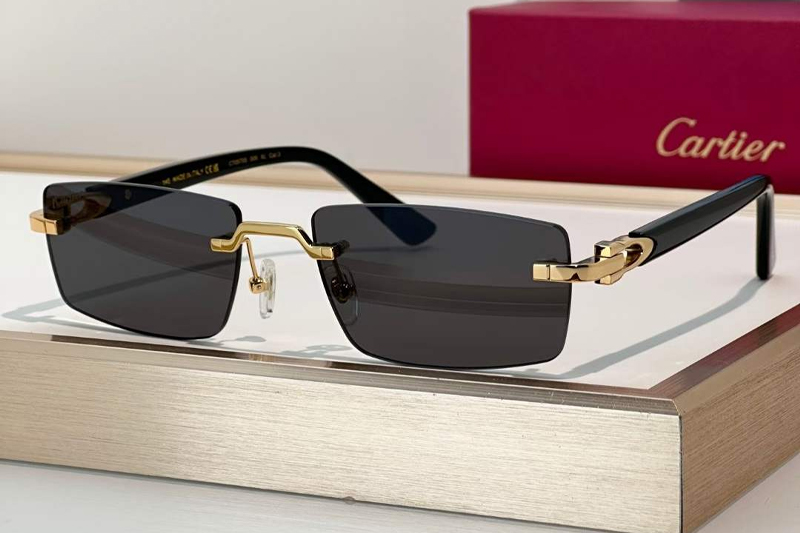 CT0579S Sunglasses Gold Black Gray