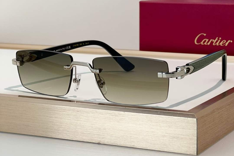 CT0579S Sunglasses Silver Green Gradient Green