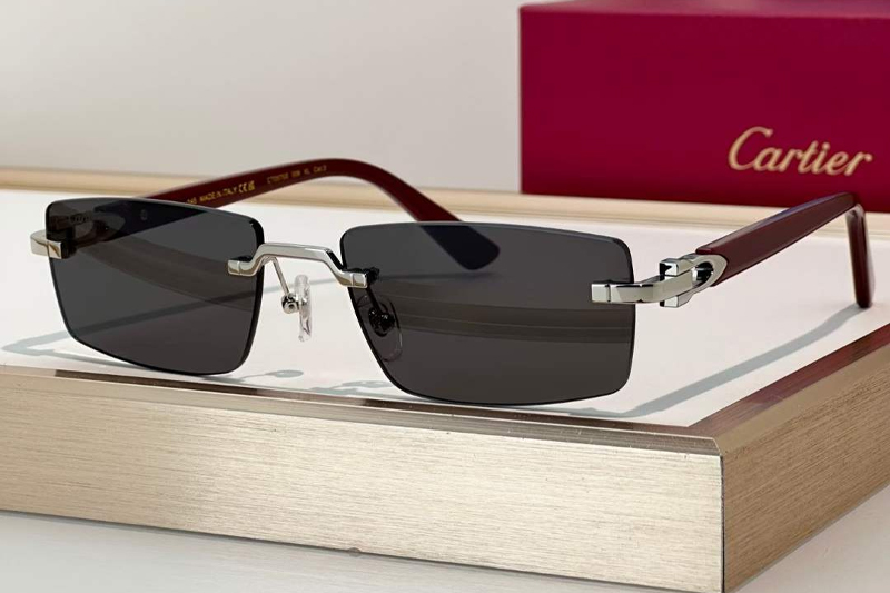 CT0579S Sunglasses Silver Red Gray