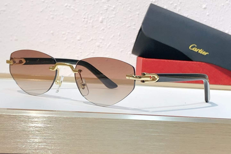 CT0580S Sunglasses Gold Black Gradient Brown