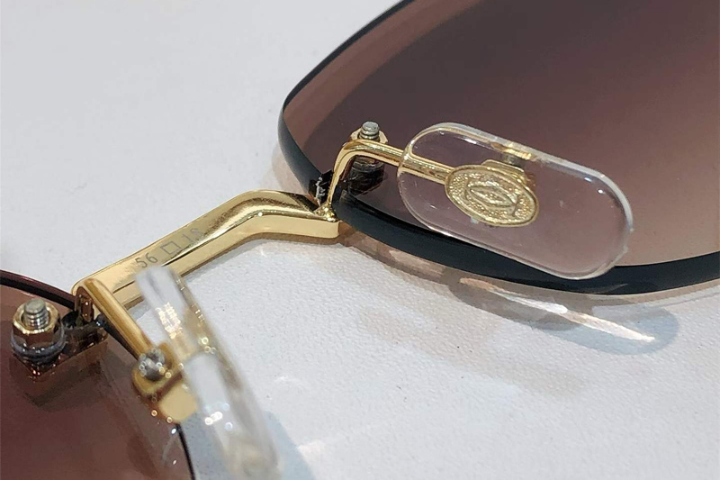 CT0580S Sunglasses Gold Black Gradient Brown